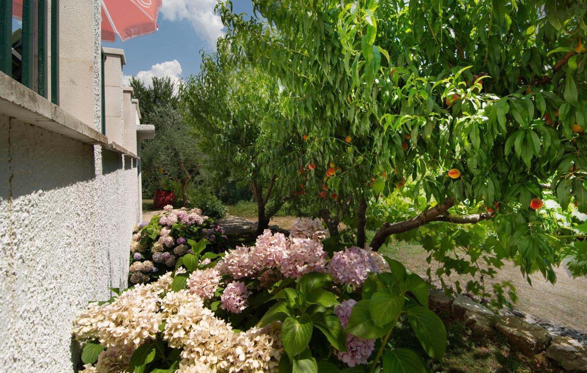Svinisce Cozy Home In Podaspilje With Kitchen מראה חיצוני תמונה